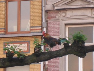 Antwerp