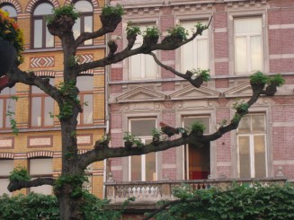 Antwerp