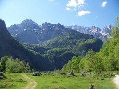 Germania - Vizitati Parcul National al Padurii Bavariene