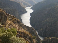 Spania - Unde sa mergeti in Salamanca