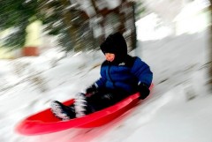 O treime dintre partiile de sanius din statiunile alpine nu au trecut de testele de siguranta