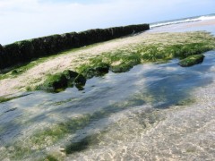 Plaje populare in Germania